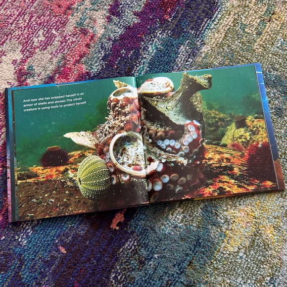 NWT Hardcover Book ‘A Journey Under the Sea’ - Picture 4 of 9